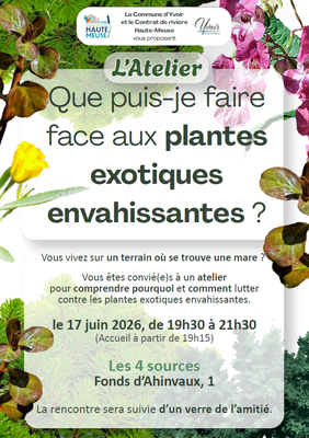 Atelier que puis-je faire face aux plantes exotiques envahissantes ?