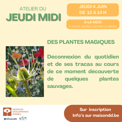 Plantes magiques / atelier MDD