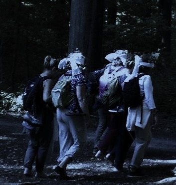 Image de l'événement Marche consciente du crépuscule à l’aube lors de la plus petite nuit de l’année - Grez-Doiceau