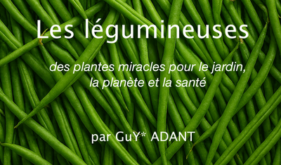 Image de l'événement Les légumineuses, des plantes miracles pour le jardin la santé et...