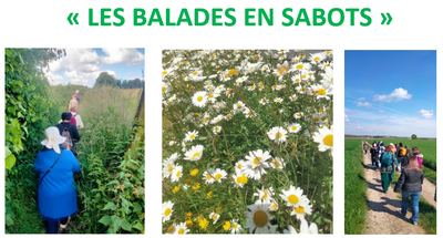 Image de l'événement Balade en Sabots - Céroux-Mousty