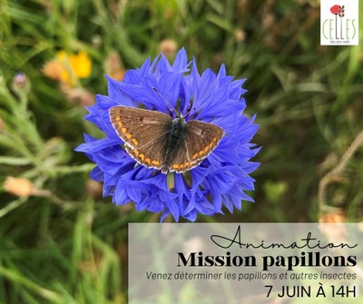 Animation : Mission Papillon