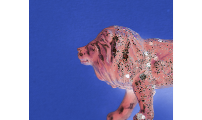 Animal. Bêtes de Musées.