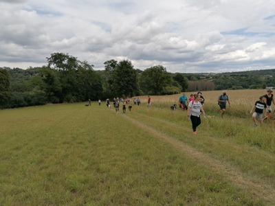 Image de l'événement Randonnée canine : Des Awirs à Saint-Georges par l’ancien vicinal - Flémalle