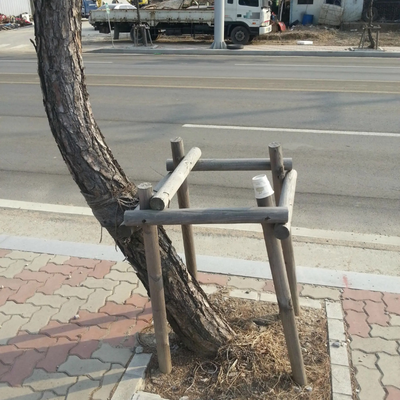 Image de l'événement Chance