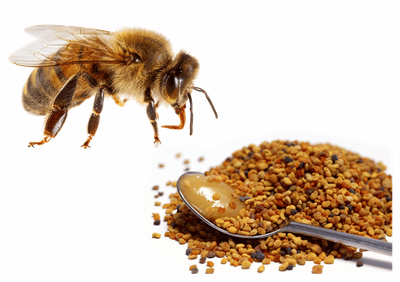 Journée mondiale de l'abeille
