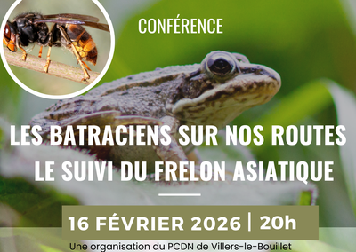 Image de l'événement Conférence du PCDN - Le frelon asiatique, une nouvelle menace pou...