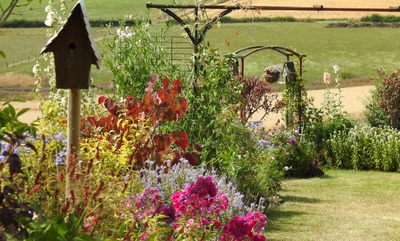 Image de l'événement Visite nature d’un jardin - Vaux-sur-Sûre