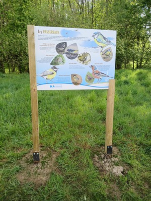 Balade Biodiversité autour du Parc du Paradis