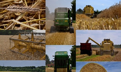 Image de l'événement Exposition "Un An ferme" par Jean-Patrick Martinet