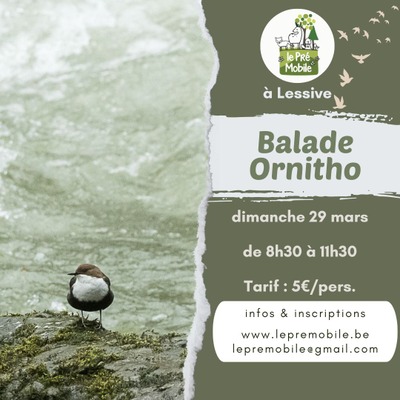 Image de l'événement Sortie ornitho : Le Cincle plongeur - Belvaux