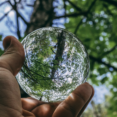 Image de l'événement Atelier : Entomobiologie