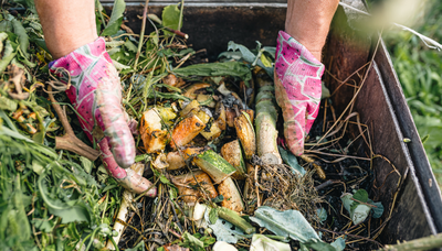 Image de l'événement Grand nettoyage de printemps organisé par BeWapp dans l'entité - Thuin