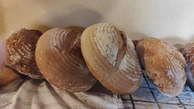 Image de l'événement Atelier pain à la levure – Cuisson au four à bois - Basse-Bodeux