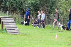 Image de l'événement Test de comportement social du chien | Nassogne - Nassogne