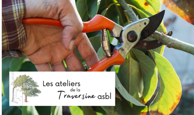 Image de l'événement Formation en taille de fruitier avec la Traversine - Braives