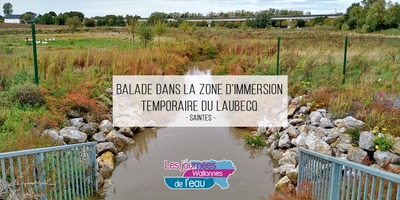 Image de l'événement Journées wallonnes de l'eau : Balade dans la zone d'immersion temporaire du Laubecq à Saintes - Tubize