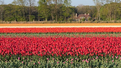 Image de l'événement EXPLO : Les Pays-Bas, Amsterdam