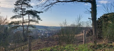 Image de l'événement Balade au Grands Prés à Nethen