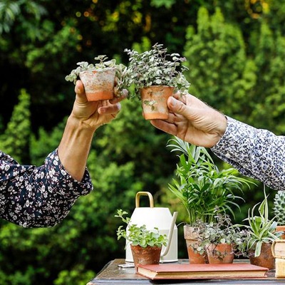 Image de l'événement Il faut cultiver son jardin - BASTOGNE