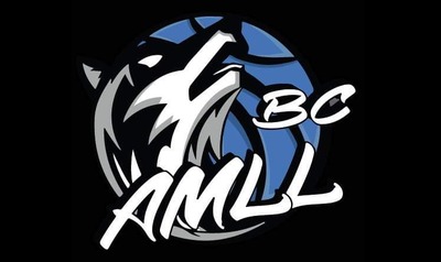 Image de l'événement Basket - La Louvière