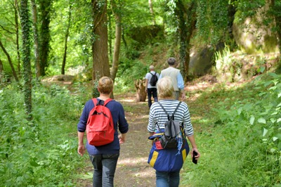 Balade bien-être dans le parc du Château de Seneffe