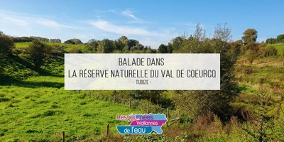 Image de l'événement Journées wallonnes de l'eau : Balade dans la réserve naturelle du Val de Coeurcq - Tubize