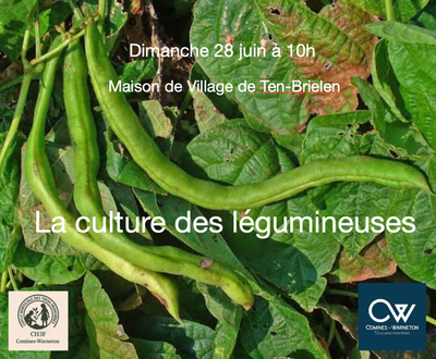 La culture des légumineuses
