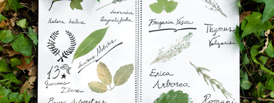Nourrir Oupeye - A la découverte des superpouvoirs des plantes