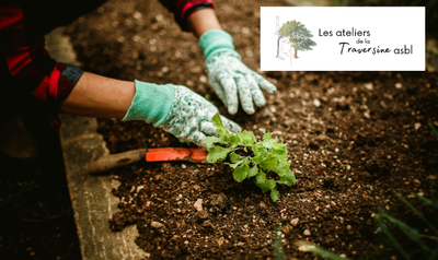 Image de l'événement Atelier potager au jardin collectif de Braives avec la Traversine - Braives