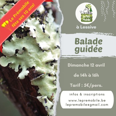 Image de l'événement Découverte des lichens, splendeurs indicatrices de la qualité de l'air - Lessive