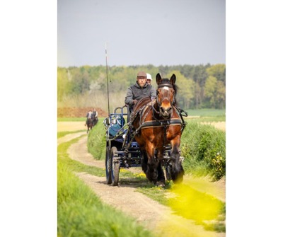 Image de l'événement Rallye équestre de la Saint-Georges - Hèze