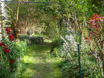 Image de l'événement Ouverture d'un "jardin punk" - Amay