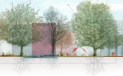 Image de l'événement Présentation publique du Plan Canopée