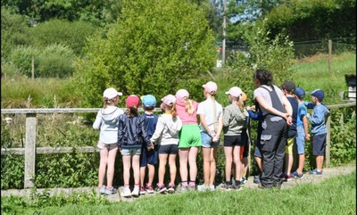 Stage "Je découvre la ferme"