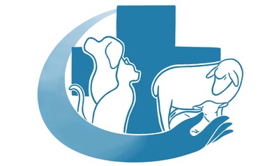 Image de l'événement Marche canine caritative au profit de vétérinaire sans frontière - Mainvault