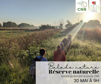 Balade nature : À la découverte de la nouvelle réserve naturelle des Bords de l’Escaut