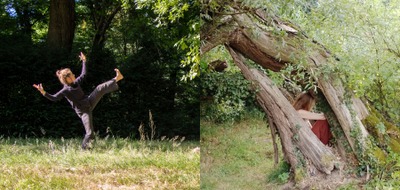 Image de l'événement Stage danse contemporaine - Louvain-La-Neuve