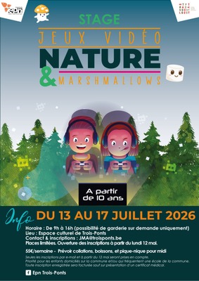 Espace Public Numérique  « Jeux vidéo, nature et marshmallows »